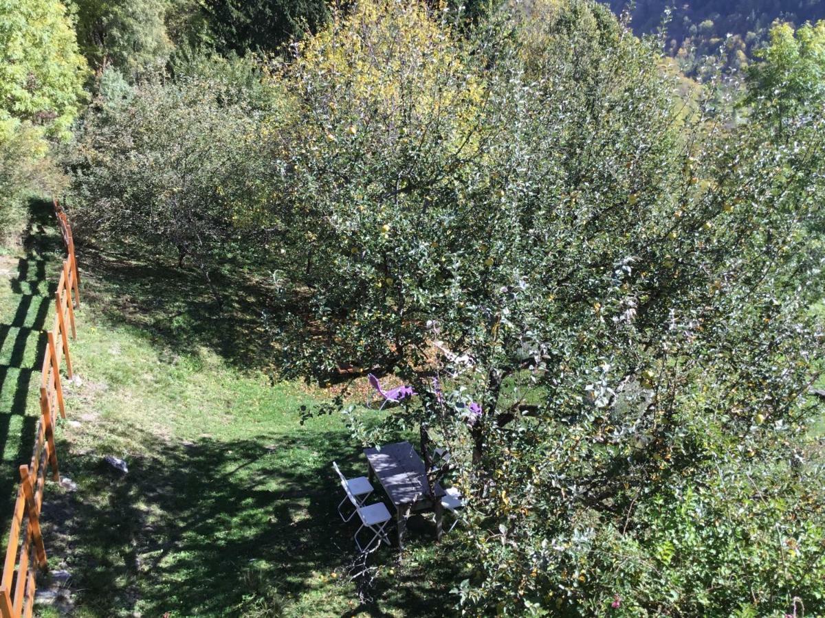 Villa Les Ardoisiers Vénosc Esterno foto